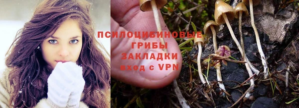 ГАЛЛЮЦИНОГЕННЫЕ ГРИБЫ Куйбышев