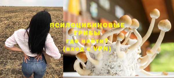 ГАЛЛЮЦИНОГЕННЫЕ ГРИБЫ Куйбышев
